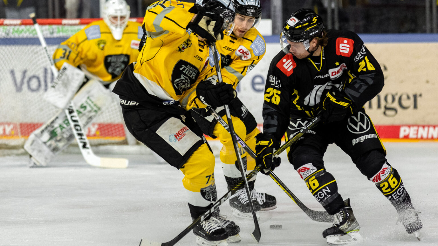 Krefeld Pinguine Familie. Heimat. Nähe Krefeld Pinguine