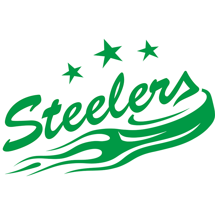 Logo - Bietigheim Steelers