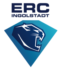 Logo - ERG Ingolstadt